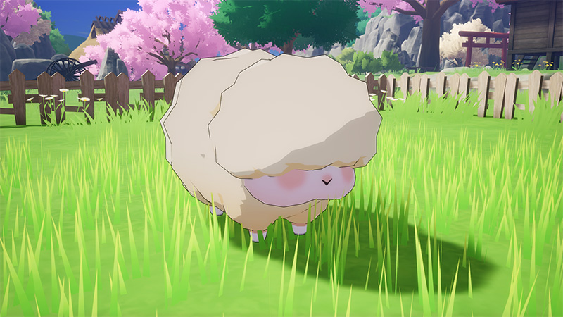 牧場物語 來吧！風之繁華市集